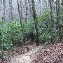 Caesars Head State Park - Wildcat Branch Falls