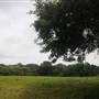 Stono River Stables - Hut Field