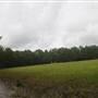 Stono River Stables - Back Forty