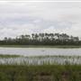 Kiawah River Plantation - Slippers