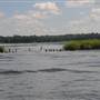 Cooper River - The T's to Childsbury