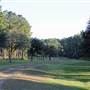 Longwood Plantation - Oaks, Pastures, Polo Fields