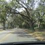 Camp Road @ Riverland Road