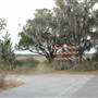 James Island - Woodland Shores Road - End