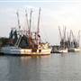 Shem Creek Water Views