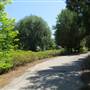 Magnolia Plantation & Gardens - Carriage House Dock (May '14)