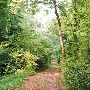 Landsford Canal State Park