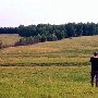 Darby Farms - Pastures