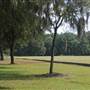 The Blessing Plantation - October Looks Drive the Grounds