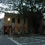 East Bay Garden Gallery
