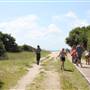 Huntington Beach State Park - Campground
