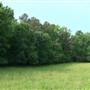Fork Branch Farm