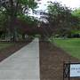 Coker College - Jim & Jean Fort Allee