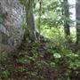 Landsford Canal State Park