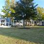 Hammonds Ferry