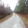 Cain Wilson Road