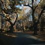 Wando Farms Moore House - January 2018