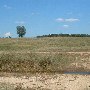 Darby Farms - Pastures