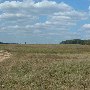 Darby Farms - Pastures