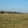 Darby Farms - Pastures