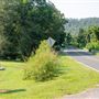 Les Mullinax Park