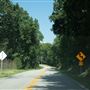 Chinquapin Road