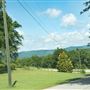 Davis Road