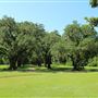 Laurel Hill County Park - Oak Alley