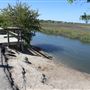 Pitt Street Bridge - May 20 2021