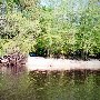 Edisto River II