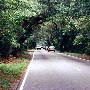 Bohicket Road