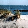 Morris Island Lighthouse