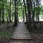 Colleton State Park