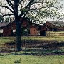 Thornwell School - Dairy Farm