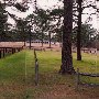 Springdale Horse Race Track (Steeplechase) - Stable E-3