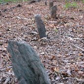Wall Property w/Graveyard