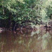 Dead River
