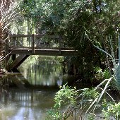 Palmetto Islands County Park - Splash Island, Lake, & Overview
