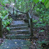 Riverbanks Zoo - Woodland Walk