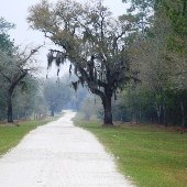 The Blessing Plantation - Horse Farm & Waterfront Looks