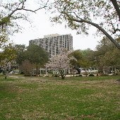 Maxcy Gregg Park