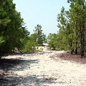 Hanson - Highway 912