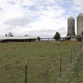 Metz Silos