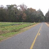 Hartsbluff Road