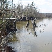 Old Motte-Congaree River