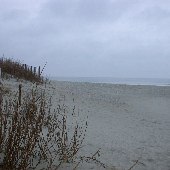 Pawley's Island Beach