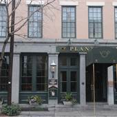 Planters Inn - Courtyard
