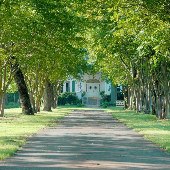 Walnut Lane Inn