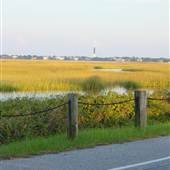 Old Pitt Street Bridge