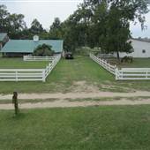 Pick Pocket Plantation - Stable Yards
